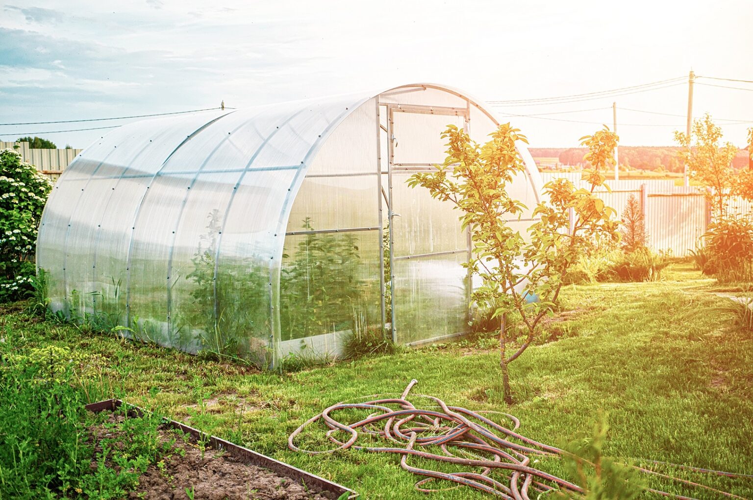 5 Ways A Polycarbonate Greenhouse Can Make Your Home More Sustainable ...