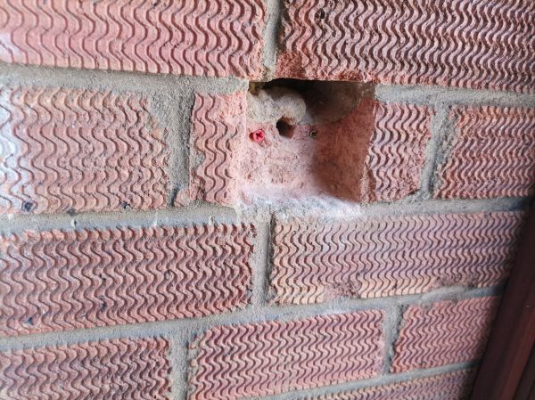 A brick wall with some wavy bricks and one brick with a big chunk missing